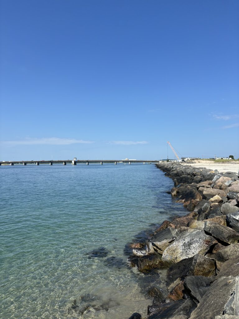 plage avec roche