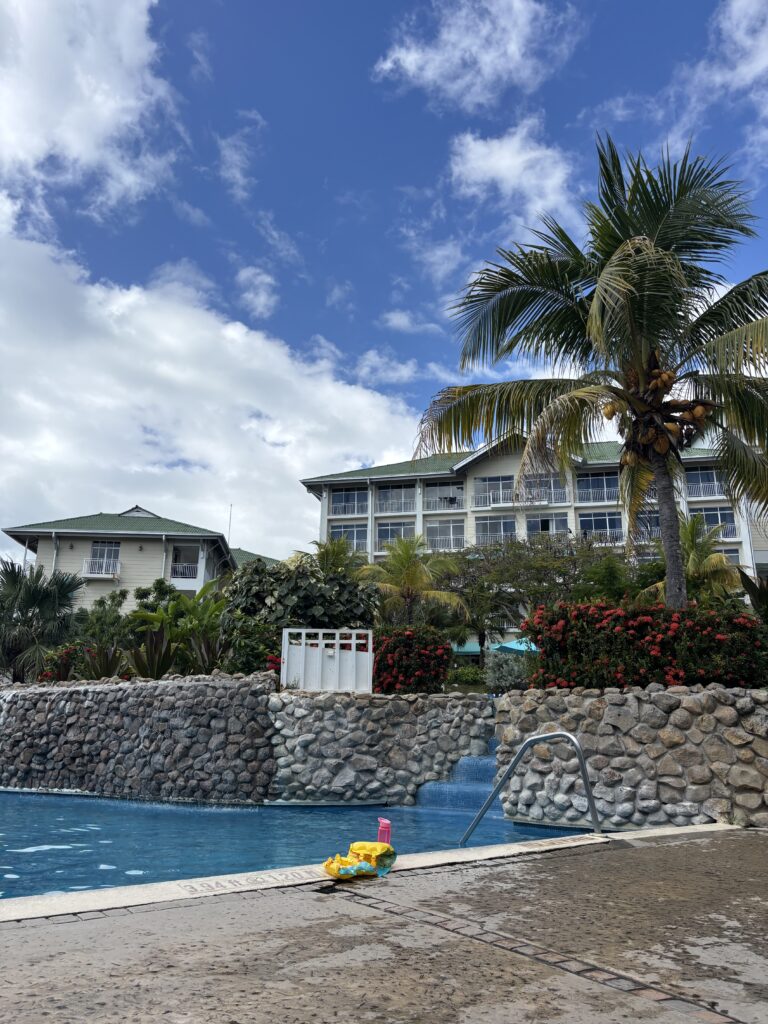 hotel avec piscine et palmier